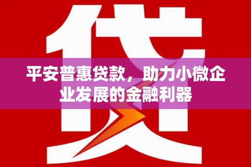 海端平安普惠贷款，助力小微企业发展的金融利器