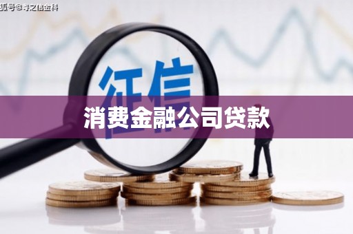 海端消费金融公司贷款