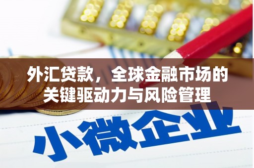 海端外汇贷款，全球金融市场的关键驱动力与风险管理