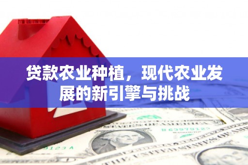 海端贷款农业种植，现代农业发展的新引擎与挑战