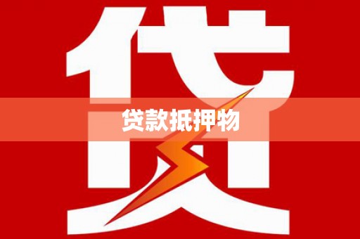 海端贷款抵押物