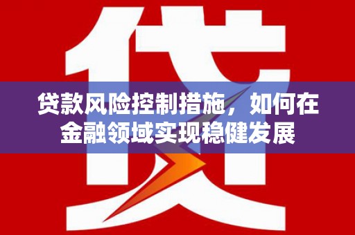 海端贷款风险控制措施，如何在金融领域实现稳健发展