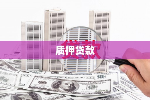 海端质押贷款