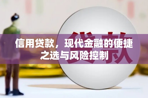 海端信用贷款，现代金融的便捷之选与风险控制