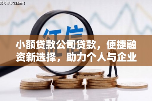 海端小额贷款公司贷款，便捷融资新选择，助力个人与企业成长