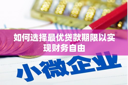 海端如何选择最优贷款期限以实现财务自由