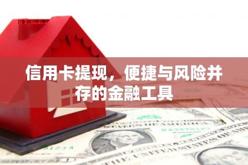 海端信用卡提现，便捷与风险并存的金融工具