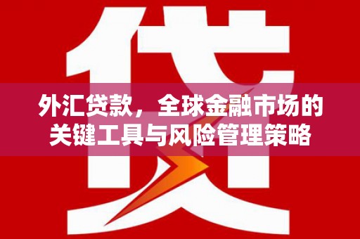 海端外汇贷款，全球金融市场的关键工具与风险管理策略