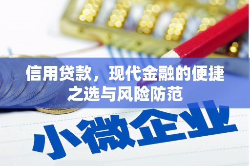 海端信用贷款，现代金融的便捷之选与风险防范