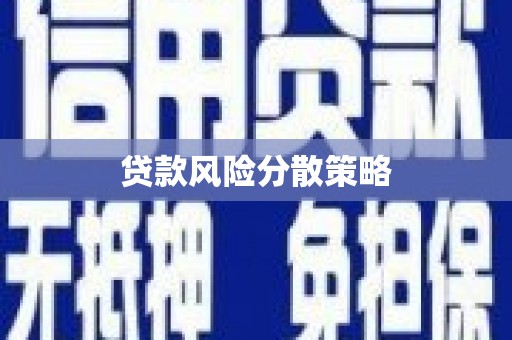 海端贷款风险分散策略