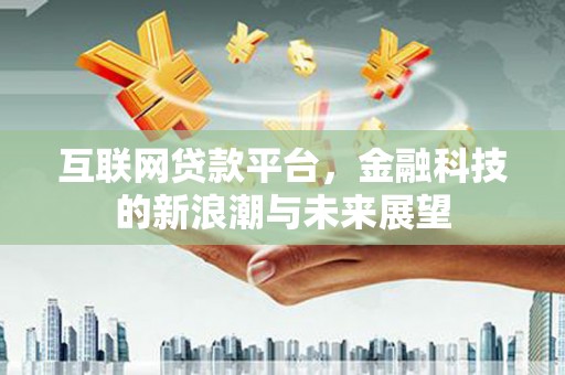 海端互联网贷款平台，金融科技的新浪潮与未来展望
