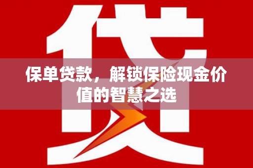 海端保单贷款，解锁保险现金价值的智慧之选