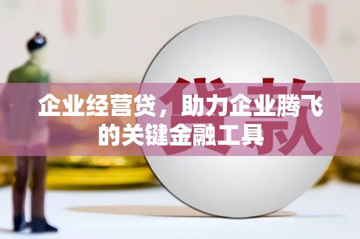 海端企业经营贷，助力企业腾飞的关键金融工具