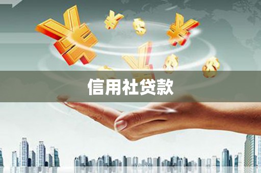 海端信用社贷款