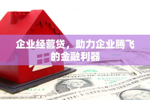 海端企业经营贷，助力企业腾飞的金融利器