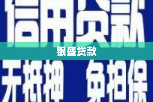 海端银盛贷款