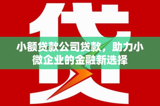 海端小额贷款公司贷款，助力小微企业的金融新选择
