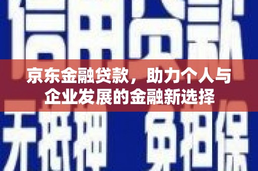 海端京东金融贷款，助力个人与企业发展的金融新选择