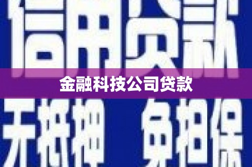 海端金融科技公司贷款