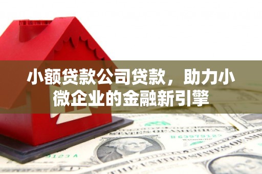海端小额贷款公司贷款，助力小微企业的金融新引擎