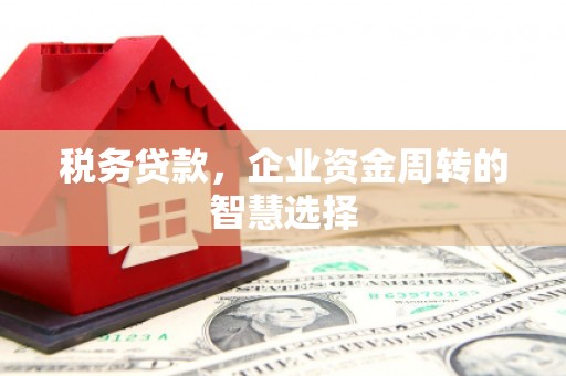 海端税务贷款，企业资金周转的智慧选择
