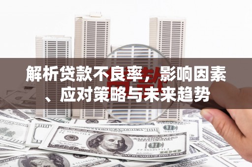 海端解析贷款不良率，影响因素、应对策略与未来趋势