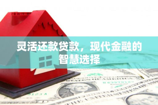 海端灵活还款贷款，现代金融的智慧选择