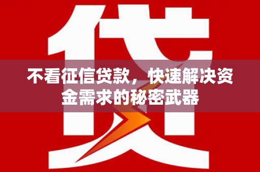海端不看征信贷款，快速解决资金需求的秘密武器