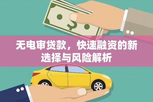 海端无电审贷款，快速融资的新选择与风险解析