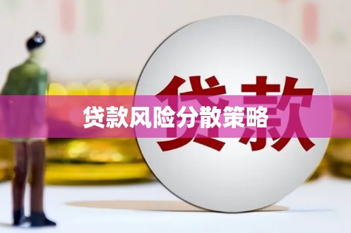 海端贷款风险分散策略