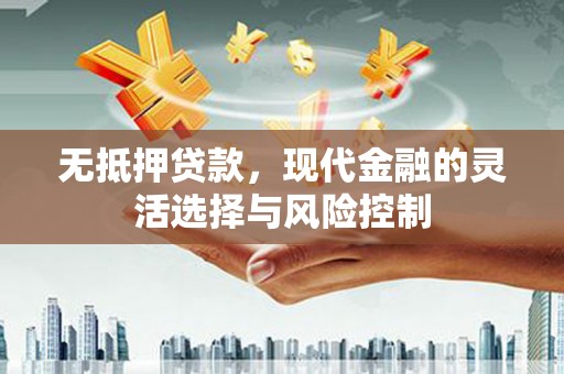 海端无抵押贷款，现代金融的灵活选择与风险控制