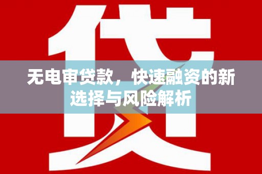 海端无电审贷款，快速融资的新选择与风险解析