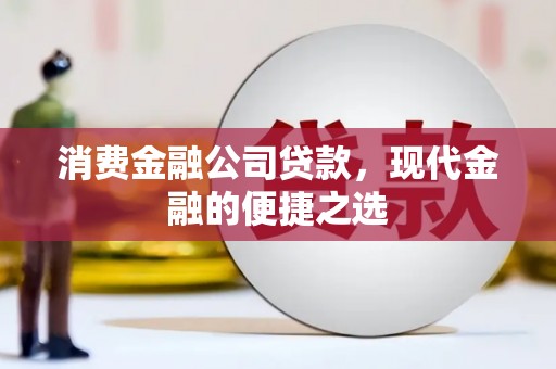 海端消费金融公司贷款，现代金融的便捷之选