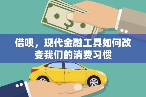 海端借呗，现代金融工具如何改变我们的消费习惯