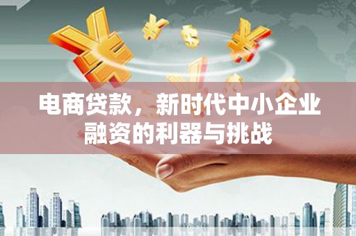 海端电商贷款，新时代中小企业融资的利器与挑战