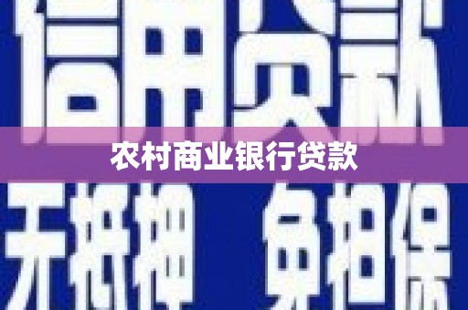 海端农村商业银行贷款
