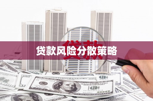海端贷款风险分散策略