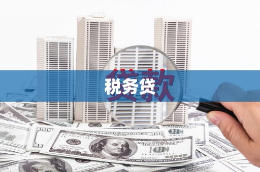 海端税务贷
