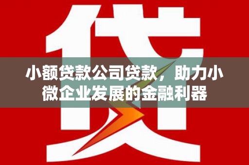 海端小额贷款公司贷款，助力小微企业发展的金融利器