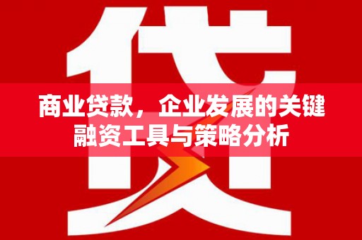 海端商业贷款，企业发展的关键融资工具与策略分析