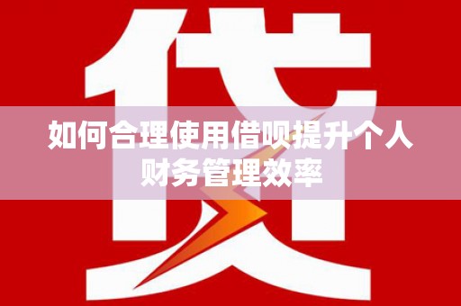 海端如何合理使用借呗提升个人财务管理效率