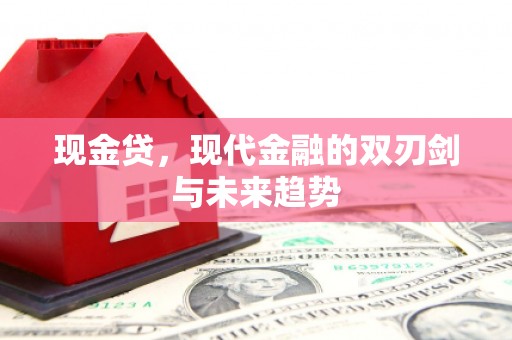 海端现金贷，现代金融的双刃剑与未来趋势