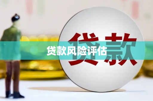 海端贷款风险评估