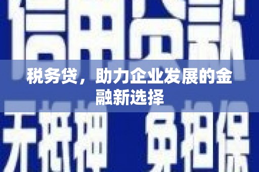海端税务贷，助力企业发展的金融新选择