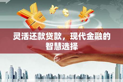 海端灵活还款贷款，现代金融的智慧选择