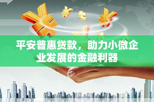 海端平安普惠贷款，助力小微企业发展的金融利器