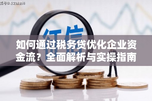海端如何通过税务贷优化企业资金流？全面解析与实操指南