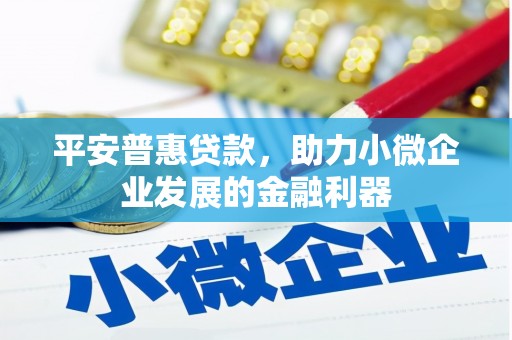 海端平安普惠贷款，助力小微企业发展的金融利器