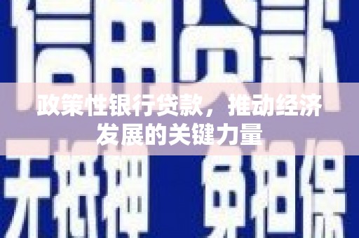 海端政策性银行贷款，推动经济发展的关键力量