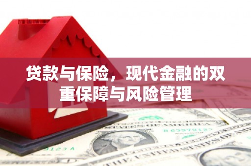 海端贷款与保险，现代金融的双重保障与风险管理